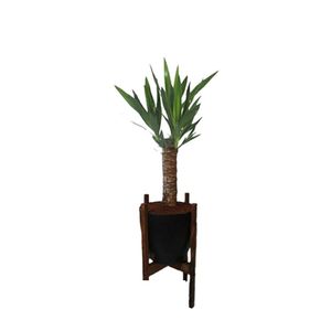 گیاه طبیعی یوکا مدل پایه دار کد 2398